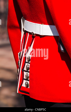 Guardsman irlandais à Clarence House Banque D'Images
