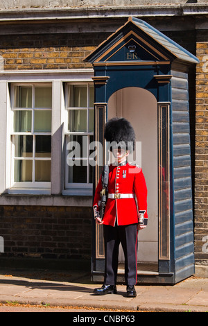 Guardsman irlandais à Clarence House Banque D'Images