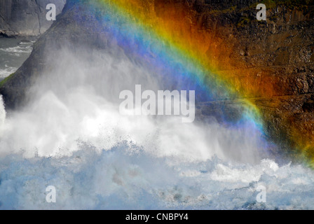 En arc-en-ciel le spray of Virginia Falls sur la rivière Nahanni dans les Territoires du Nord-Ouest du Canada. Banque D'Images