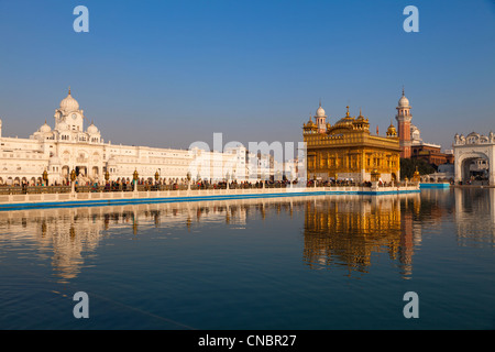 L'Inde, Punjab, Amritsar, Temple d'or dans la lumière de l'après-midi Banque D'Images