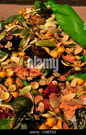 La nourriture et les restaurants de matières compostables et les vendeurs d'aliments sont laissés au compost. Banque D'Images