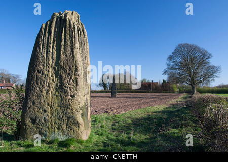 Les Flèches du diable, trois monolithes préhistorique (y compris le deuxième plus grand au Royaume-Uni), Boroughbridge, Yorkshire du Nord. Banque D'Images