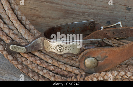 Équitation antiques spur avec bracelet en cuir et gravure sur acier Banque D'Images