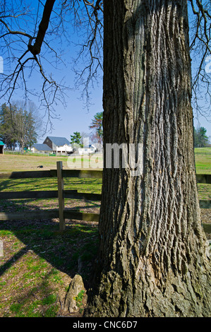 Grange et écuries, Hidden Valley Farm au Ridley Creek State Park, New Jersey, USA Banque D'Images