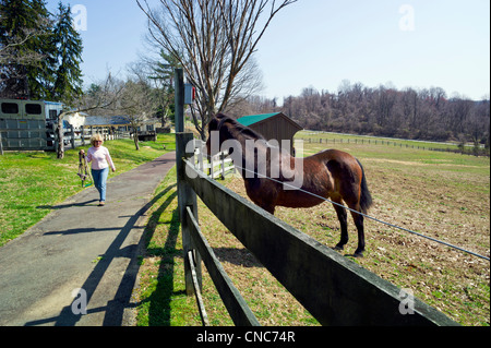 Femme et cheval à Hidden Valley Farm au Ridley Creek State Park, New Jersey, USA Banque D'Images