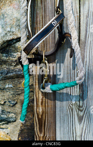 Close up of equestrian tack à Hidden Valley Farm au Ridley Creek State Park, New Jersey, USA Banque D'Images