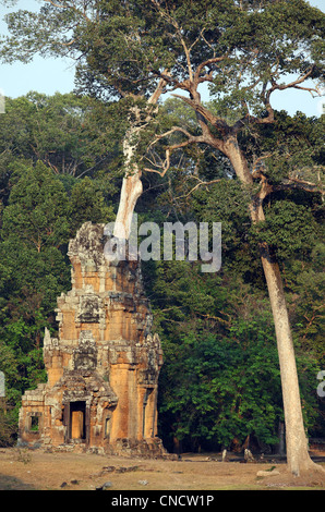 Prasat Suor Prat tower à Angkor Thom. Angkor, Siem Reap, Cambodge, Asie du Sud, Asie Banque D'Images