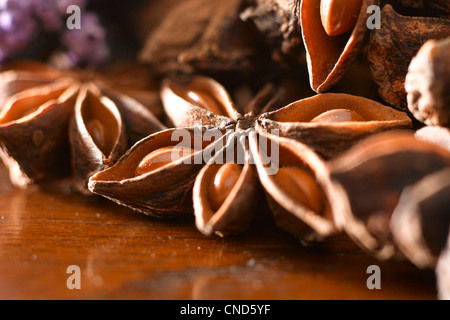 Plan Macro sur badiane gousse d'épices sur fond de bois sombre. Paysage Banque D'Images