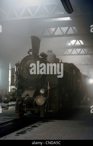 Un Rlys Fédéral Autrichien, 93 classe 2-8-2T. Pris au milieu des ténèbres du Nord Vienne smokey Loco shed. Banque D'Images