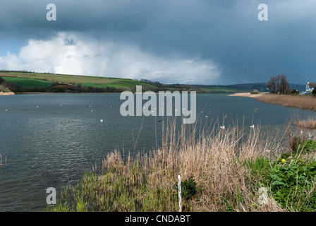 Lieu non identifié Ley National Nature Reserve près de Start Bay dans la région de South Hams Devon Banque D'Images