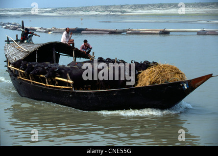 Le trafic dans la rivière Padma (Gange) et de la rivière Jamuna (Brahmapoutre) est riche et essentielle pour la vie quotidienne au Bangladesh Banque D'Images