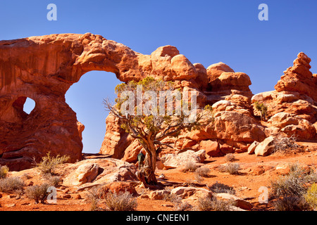 Passage de tourelle, Arches National Park, Utah USA Banque D'Images