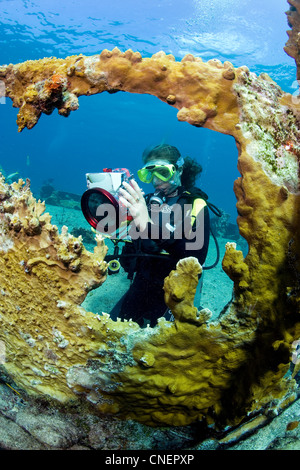 Scuba Diver prend des photos sous l'eau Banque D'Images