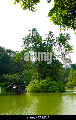 Swan sculpture dans les jardins botaniques de Singapour Banque D'Images