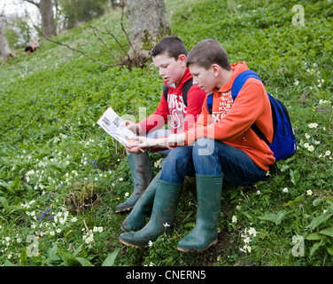 Garçon avec Brochure touristique sur la carte marche de vacances dans le Nord du Yorkshire, près de West Burton, Wensleydale, Richmondshire, UK Banque D'Images