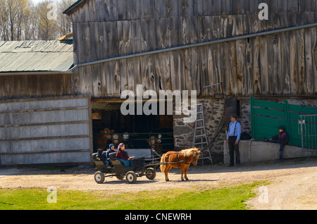 Des enfants pour un tour de poney sur une ferme Mennonite à St Jacobs Village Ontario Canada Banque D'Images