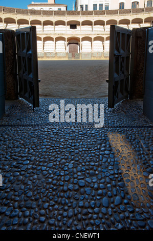 Arènes de Ronda, Andalousie, Espagne Banque D'Images