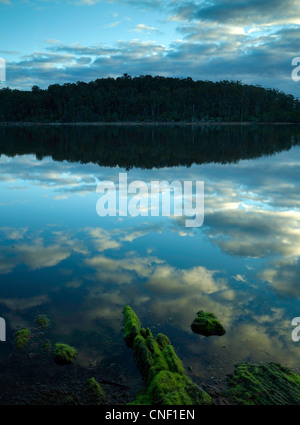 Réflexions sur le lac Wallaga tranquille, NSW Australie Banque D'Images