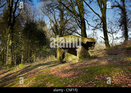 Filiast Gwal y sépulture néolithique, Carmarthenshire, West Wales, UK Banque D'Images