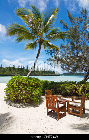 Table et chaises sur la plage de l'hôtel resort - Ile des Pins, Nouvelle Calédonie Banque D'Images