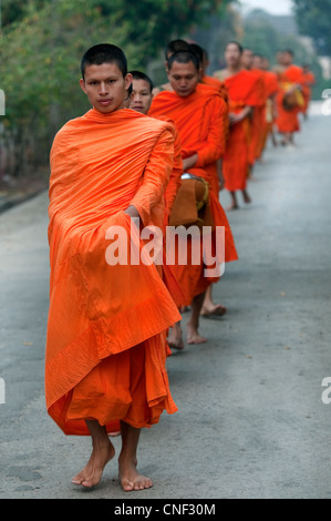 Les moines pieds nus marcher en procession portant robe safran au matin l"aumône à Luang Prabang, Laos Banque D'Images