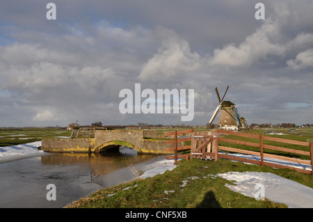 Dans polderlandscape moulin hollandais en hiver, Hollande, Pays-Bas, Europe Banque D'Images