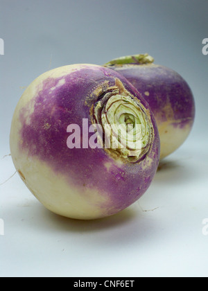 Tête violet navet sur fond blanc Banque D'Images