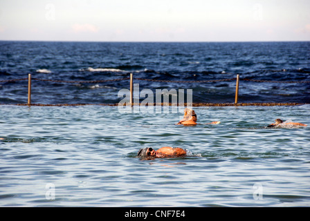 Piscine d'eau de mer créé par marée montante, Cronulla au sud de Sydney , Australie Banque D'Images