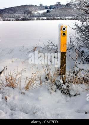 Un panneau en bois jaune avec flèche 2 signes sur elle recouverte de neige. Le paysage est couvert de neige avec un bois au loin Banque D'Images