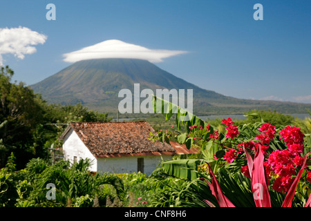 Nicaragua Isla Ometepe sur le Lac Nicaragua super vue sur Vulcano Concepciòn de jardin luxuriant à coffee farm Finca Magdalena soleil Banque D'Images