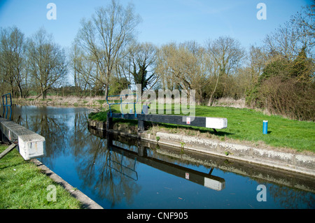 Ouvrir le verrouillage sur la rivière chelmer avec encore de l'eau et la réflexion de poutre Banque D'Images