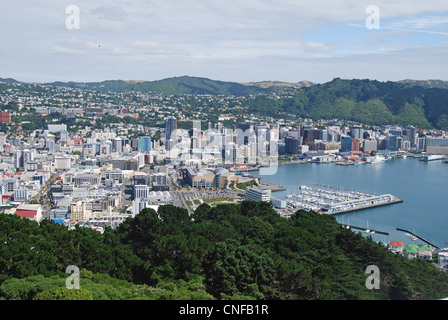 Vue de la ville et du port depuis Mount Victoria Lookout, Wellington, région de Wellington, Île du Nord, Nouvelle-Zélande Banque D'Images