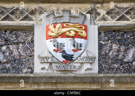 Armoiries de Canterbury, le lion des armes de l'Angleterre, rappelle les liens de la ville avec l'image. Banque D'Images