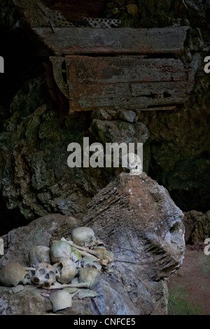 L'Indonésie, Sulawesi, Tana Toraja, Suaya village, crânes et squelettes dans une grotte avec des tau tau des effigies de la mort. Banque D'Images