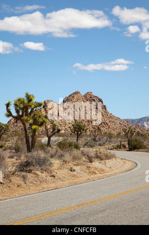 Mars, 2012. Journée de printemps dans le parc national Joshua Tree, voyageant sur Parkway Blvd. Banque D'Images