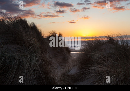 Soleil sur la plage de Formby, en Angleterre, par les dunes de sable Banque D'Images