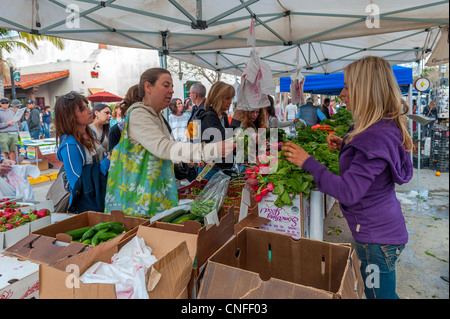 L'achat et la vente de produits frais biologiques au Santa Barbara (Californie) Farmers Market Banque D'Images