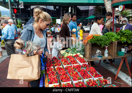 Une femme et son chien de l'acheteur d'acheter des produits bio au Santa Barbara (Californie) Farmers Market Banque D'Images