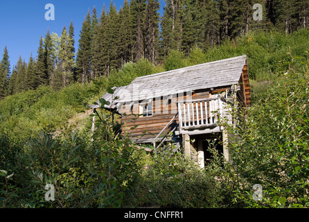 Cabane en bois antique dans une ruée vers l'or Banque D'Images