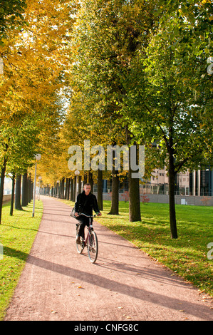 Sentier bordé d'arbres le long de la rivière de l'Elbe à Dresde, Allemagne. Banque D'Images