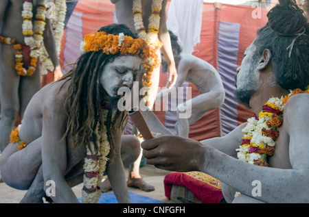 Sadhu se préparer pour leur bain au cours de la Kumbh Mela 2010 à Haridwar Banque D'Images