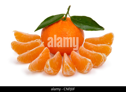 Mandarines mûres avec des feuilles et des segments sur un fond blanc Banque D'Images