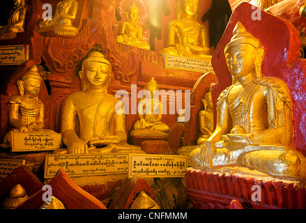 Les images de Bouddha Doré dans les grottes de Pindaya, l'État Shan, en Birmanie. Myanmar Banque D'Images