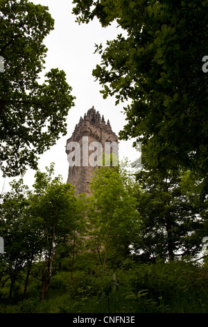 Le Monument William Wallace sur le sommet de l'Abbey Craig de Sterling, Ecosse Banque D'Images