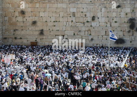 Bénédiction de Cohen traditionnel au Mur occidental pendant la fête juive de la Pâque. Vieille ville de Jérusalem, Israël. Banque D'Images