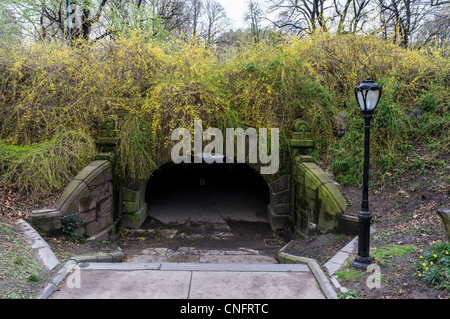 Corniculé arch dans Central Park, New York au printemps Banque D'Images