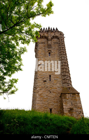 Le Monument William Wallace sur le sommet de l'Abbey Craig de Sterling, Ecosse Banque D'Images