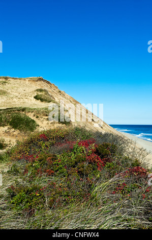 Plage Long Nook, Truro, Cape Cod, Massachusetts, USA Banque D'Images