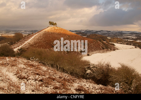 Colmer's Hill en hiver : cette modeste mais distinctive Hill est devenu un établissement emblématique de la région de West Bridport Dorset. Angleterre, Royaume-Uni. Banque D'Images