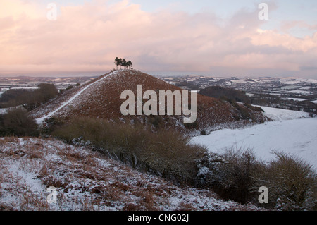 Colmer's Hill en hiver : cette modeste mais distinctive Hill est devenu un établissement emblématique de la région de West Bridport Dorset. Angleterre, Royaume-Uni. Banque D'Images